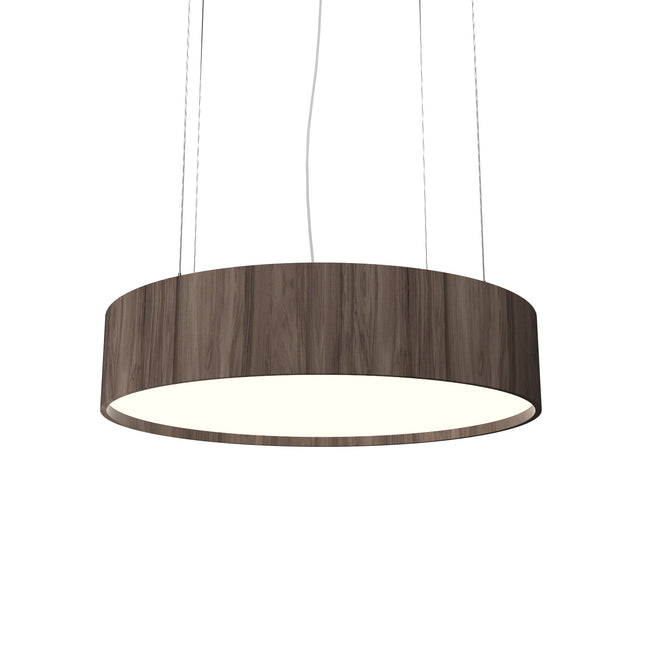 Accord Lighting-231.18|MAIN