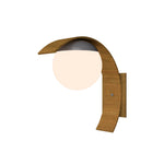 Accord Lighting-416.09|MAIN
