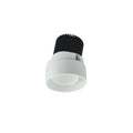 Outdoor (Damp) 2" Round Trimless Adjustable Accessory by Nora Lighting