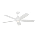 5-Blades Lowden Outdoor (Damp) Ceiling Fan with Light by Generation Lighting