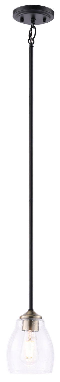 Buy coal-w-stained-brass Winsley Outdoor (Damp) Pendant by Minka-Lavery