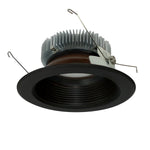 Nora Lighting-NLCB2-6521540BZBZ|MAIN