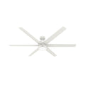 Solaria Ceiling Fan with Light by Hunter