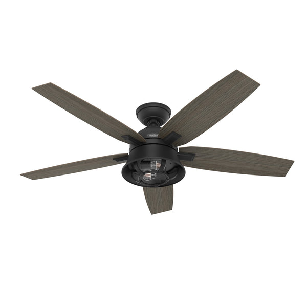 Hampshire Ceiling Fan with Light by Hunter