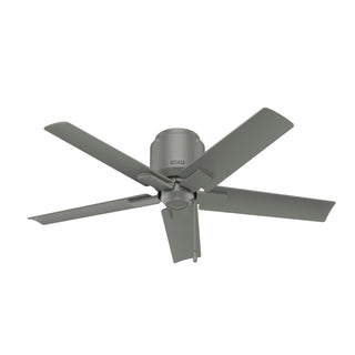 Buy matte-silver-finish-with-matte-silver-blades Terrace Cove Hugger Ceiling Fan by Hunter