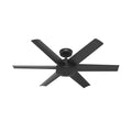 Jetty Ceiling Fan by Hunter