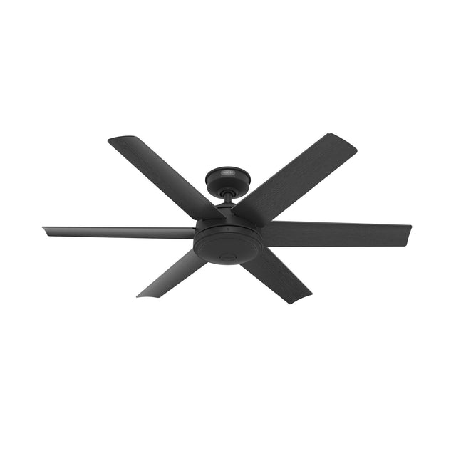 Jetty Ceiling Fan by Hunter
