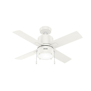 Beck Ceiling Fan with Light by Hunter