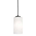 Leo Outdoor (Damp) Pendant by AFX Lighting