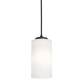 Buy black-with-clear-glass-glass-and-white-shade Leo Outdoor (Damp) Pendant by AFX Lighting