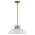Perkins Pendant by Nuvo Lighting