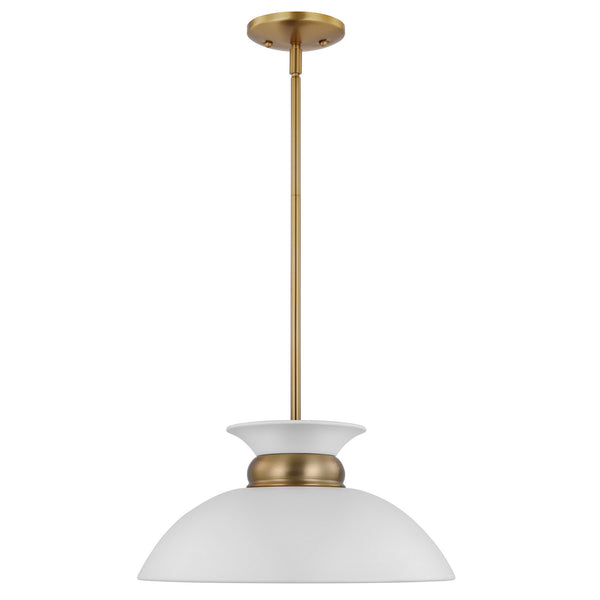 Perkins Pendant by Nuvo Lighting