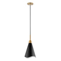 Tango Pendant by Nuvo Lighting