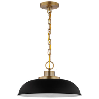 Buy matte-black-burnished-brass Colony Pendant by Nuvo Lighting