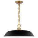 Colony Pendant by Nuvo Lighting