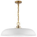 Colony Pendant by Nuvo Lighting