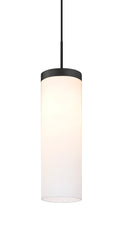 Friz Outdoor (Damp) Pendant by Besa