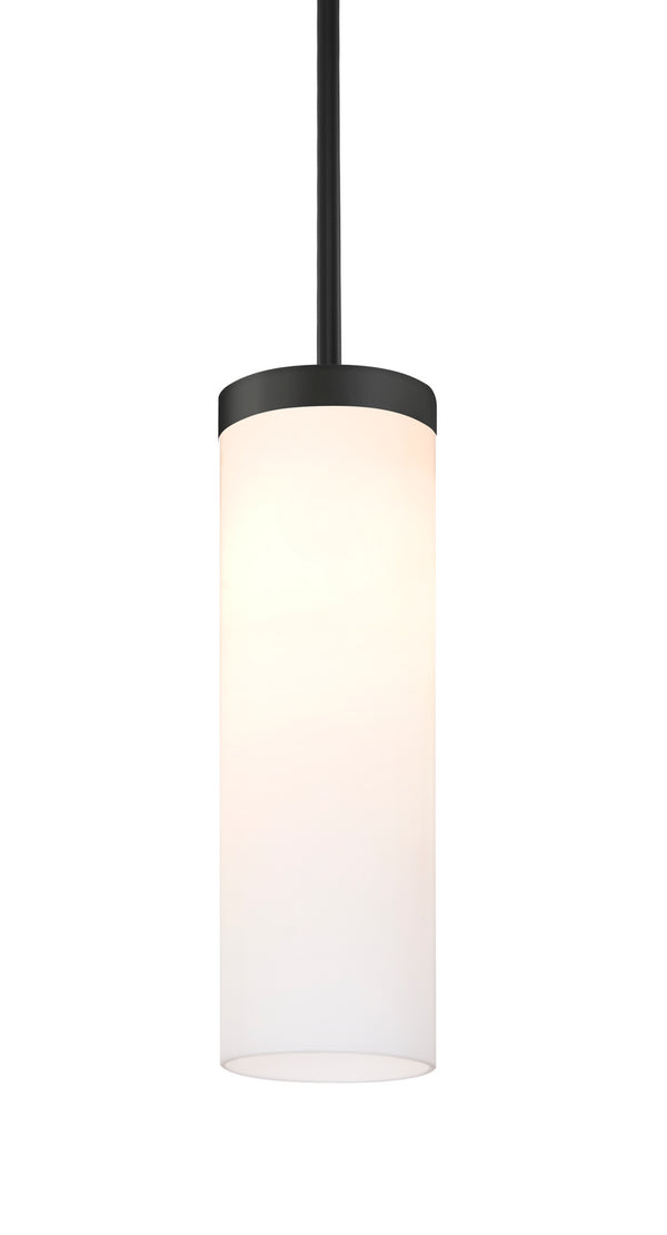 Friz Outdoor (Damp) Pendant by Besa