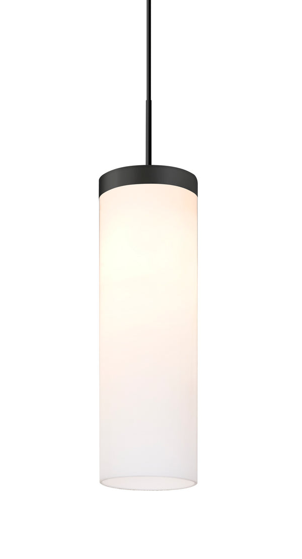 Friz Outdoor (Damp) Pendant by Besa