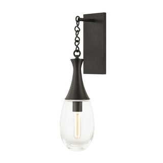 Buy black-brass-with-clear-glass-and-clear-shade Southold Outdoor (Damp) Sconce by Hudson Valley