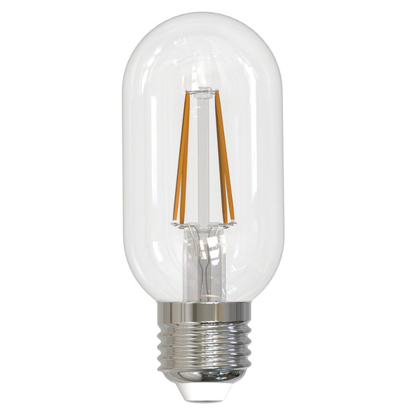 Light Bulb from the Filaments: Collection in Clear Finish by Bulbrite