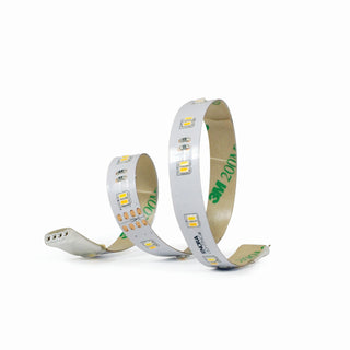 Sl Tape Light Outdoor (Damp) 12" 24V Section Cct Tuning LED by Nora Lighting