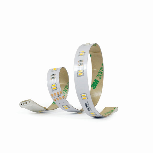 Sl Tape Light Outdoor (Damp) 12" 24V Section Cct Tuning LED by Nora Lighting