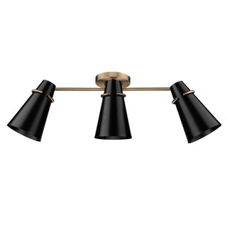 Reeva Semi-Flush Mount Rail Mounted Ceiling Light by Golden