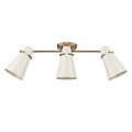 Reeva Semi-Flush Mount Rail Mounted Ceiling Light by Golden