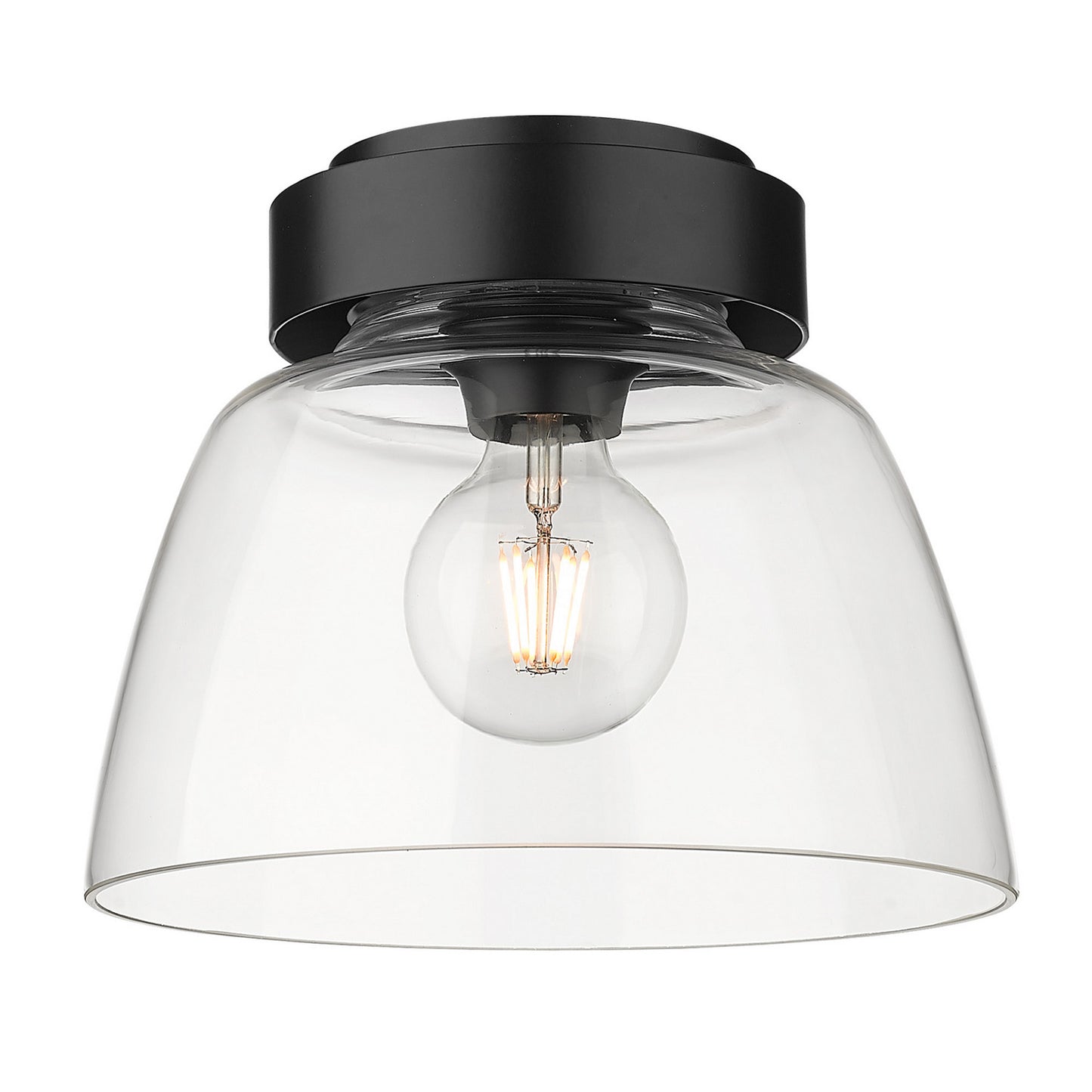 Golden-0314-FM10 BLK-CLR|ALT|1