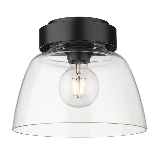 Golden-0314-FM10 BLK-CLR|ALT|1
