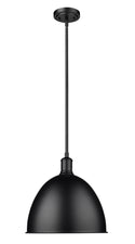 Sawyer Outdoor (Damp) Pendant by Z-Lite