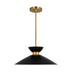 Midnight Black and Burnished Brass with Midnight Black Glass and Metal Shade