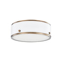 Eli Outdoor (Damp) Flush Mount Ceiling Light by Troy Lighting