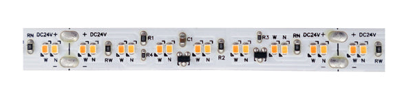 Elco Lighting-E36-24SD-16|MAIN