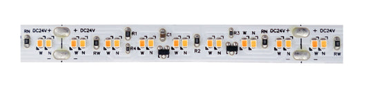 Elco Lighting-E36-24SD-16|MAIN