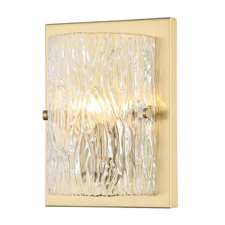 Buy satin-brass-with-clear-piastra-glass-and-clear-textured-shade Morgan Outdoor (Damp) Sconce by Varaluz