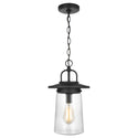 Tybee Outdoor (Damp) Pendant by Generation Lighting