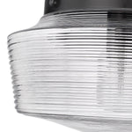 Golden-3415-FM BLK-CLR|ALT|3