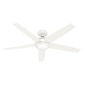 Zayden Ceiling Fan with Light by Hunter