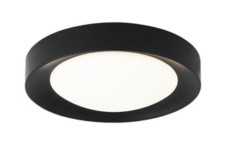 Buy black Essene Ceiling Mount Light by Matteo Lighting