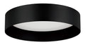 Ester Outdoor (Damp) Ceiling Light by Eglo USA