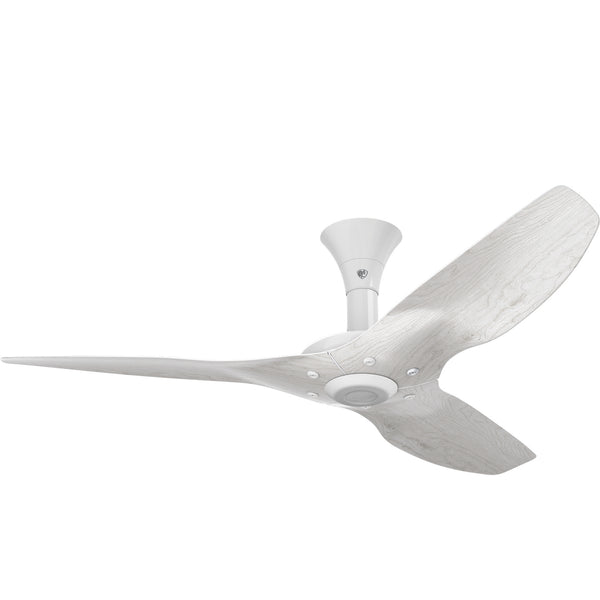 Haiku Ceiling Fan by Big Ass Fans