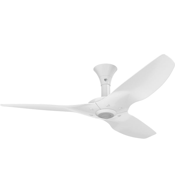 Haiku Ceiling Fan by Big Ass Fans