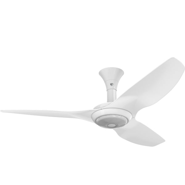 Haiku Ceiling Fan by Big Ass Fans