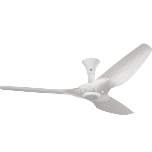 Haiku Ceiling Fan by Big Ass Fans
