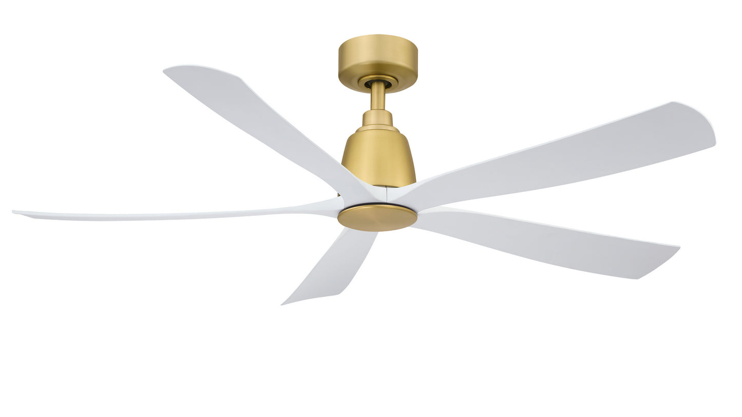 Fanimation-FPD5534BS|MAIN