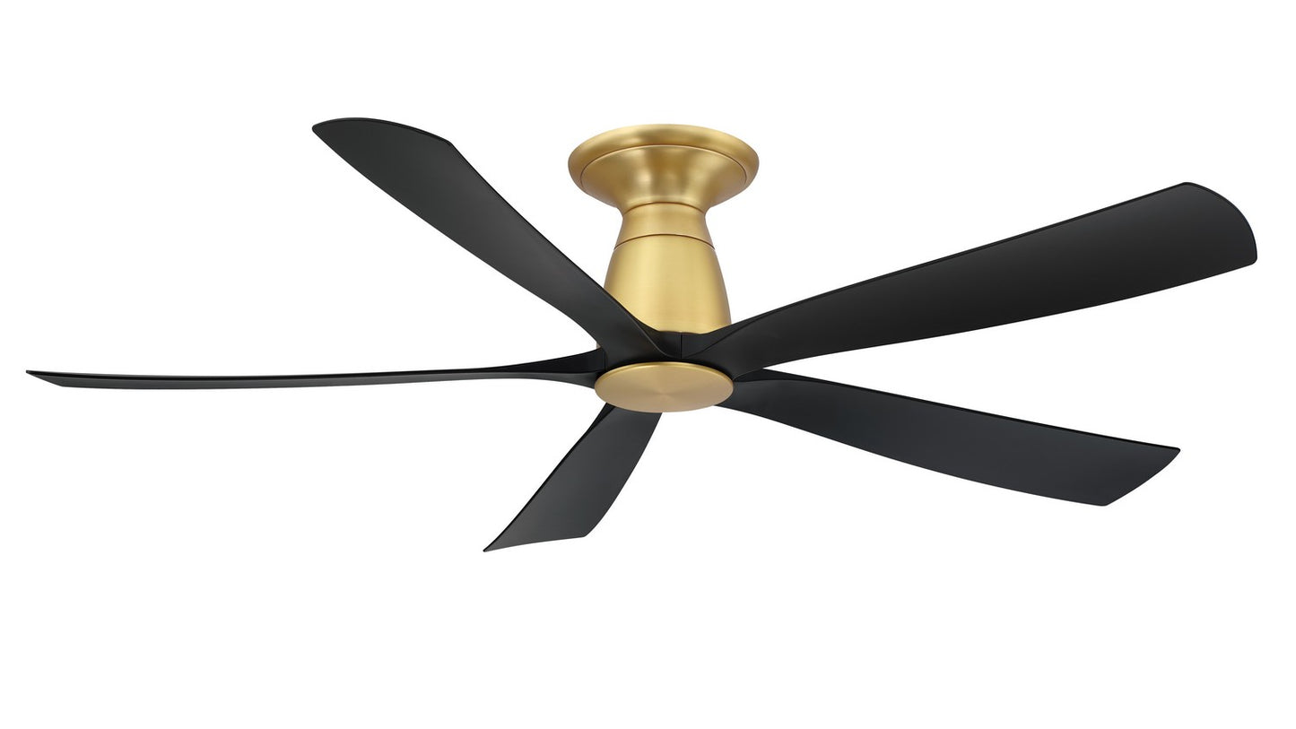 Fanimation-FPD5534BSBL|ALT|3