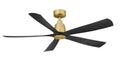 Kute Outdoor (Damp) Ceiling Fan by Fanimation