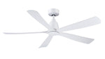 Fanimation-FPD5534MW|MAIN